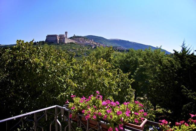 Country House Carfagna Assisi Dış mekan fotoğraf
